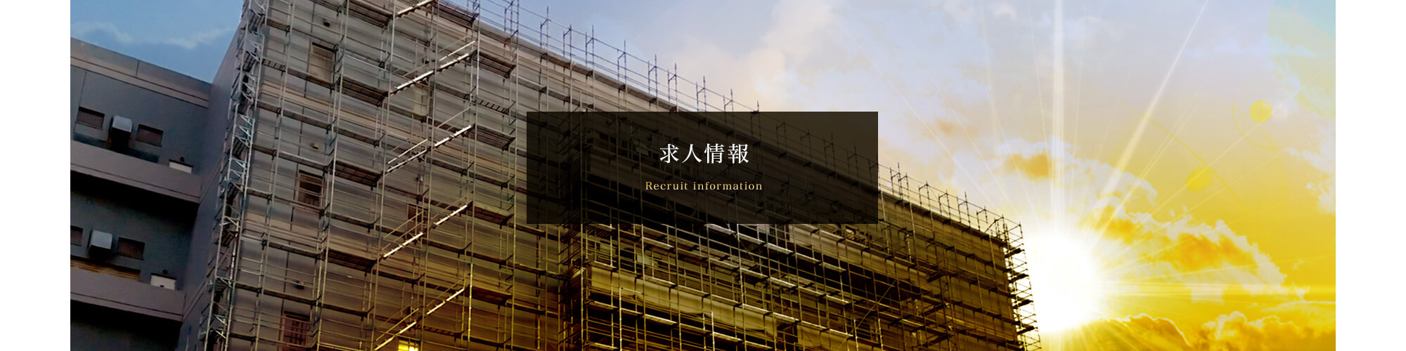 求人情報